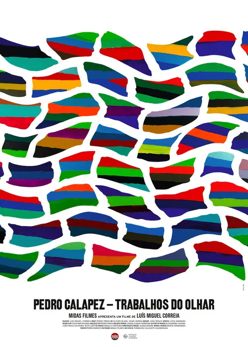 Pedro Calapez: Trabalhos do Olhar poster