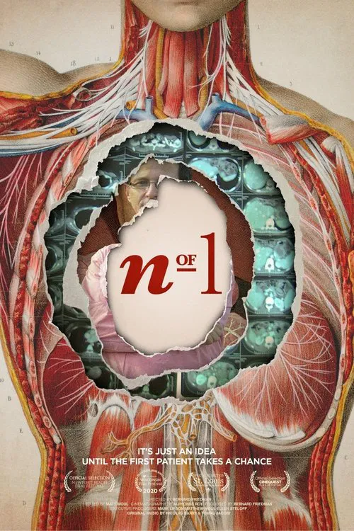 N of 1 poster