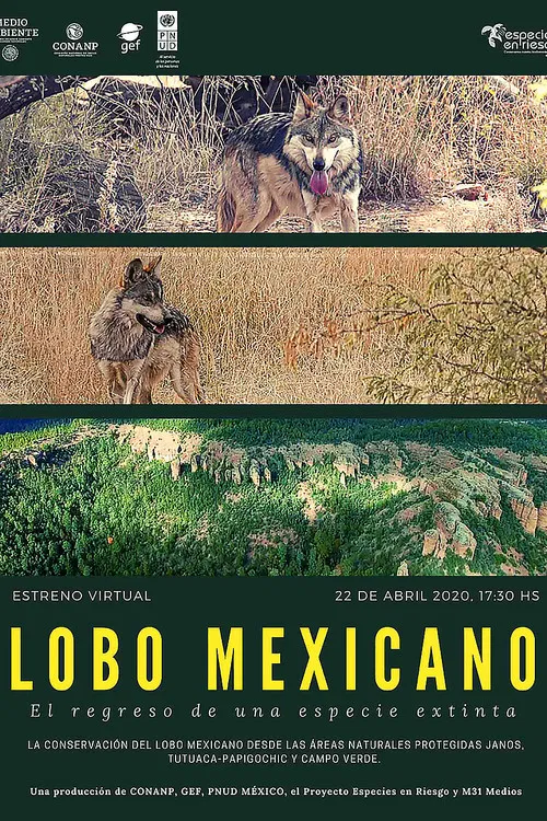 Lobo Mexicano poster