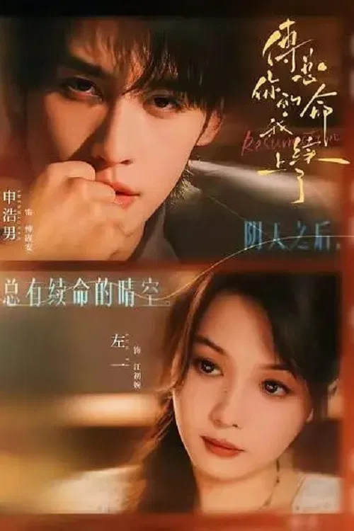 傅总，你的命我续上了 poster