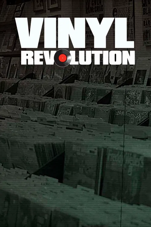 Vinyl Revolution poster