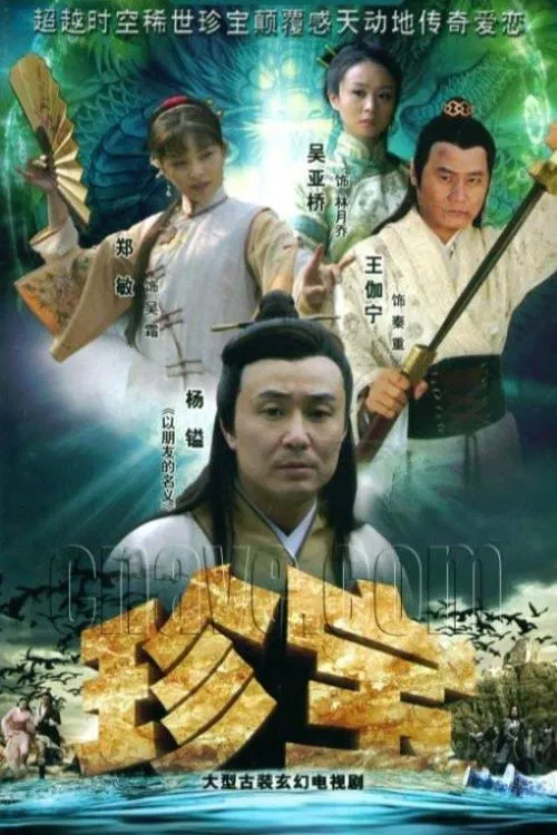 珍宝 poster