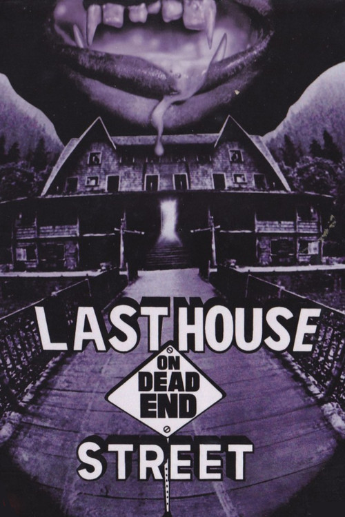 The Fun House poster