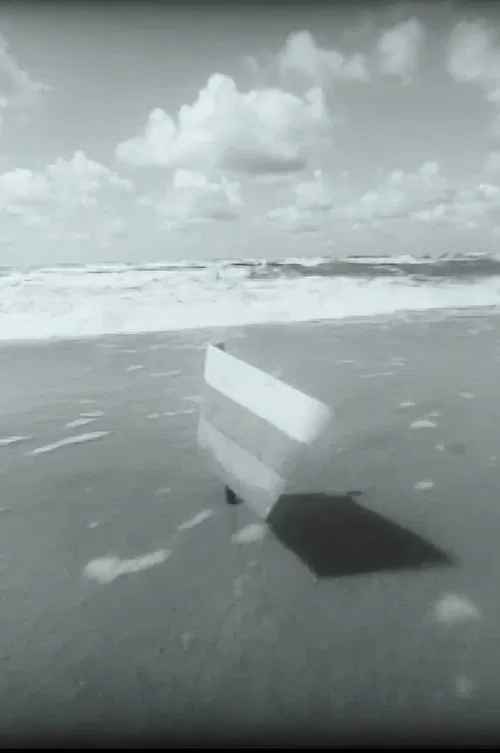 Should I bring in "Antį" now? poster