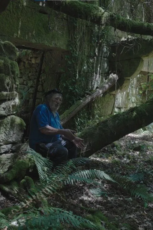 O Seixoval. A montaña máxica poster