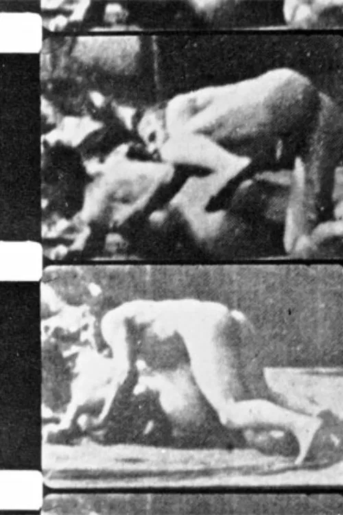 Filming Muybridge poster