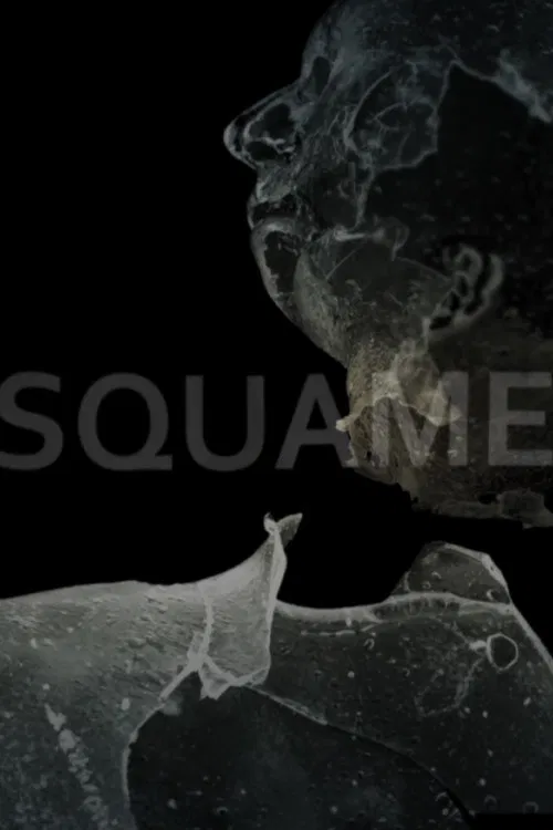 Squame poster