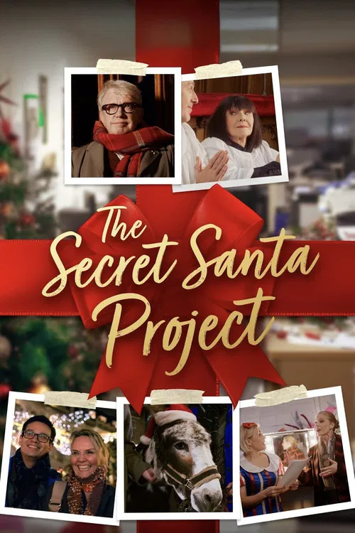 The Secret Santa Project poster