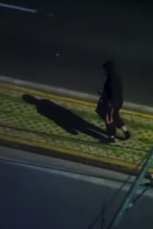 Incredible thoughts of a woman on a tier poster