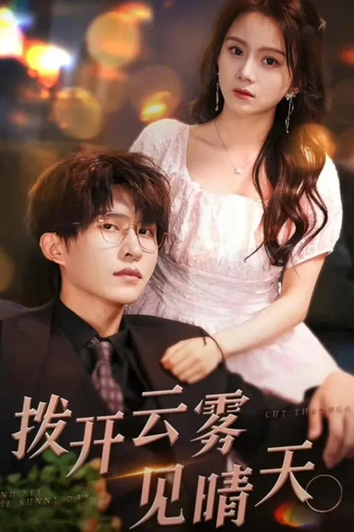 拨开云雾见晴天 poster