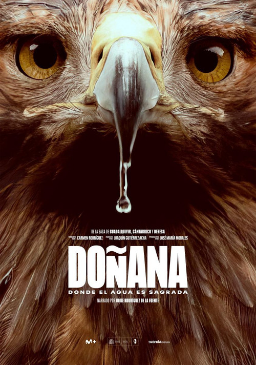 Doñana poster