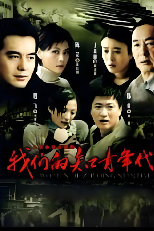我们的知青年代 poster