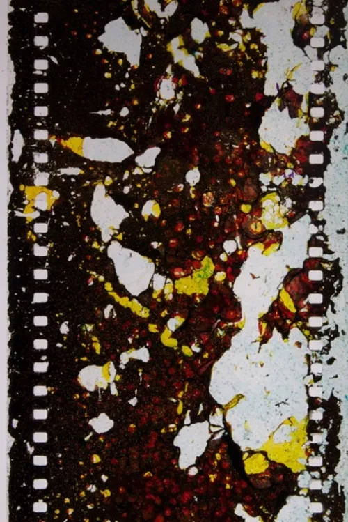 Salt Crystals Spiral Jetty Dead Sea Five Year Film poster