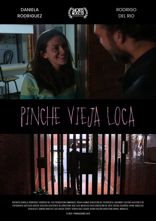 Pinche Vieja Loca poster
