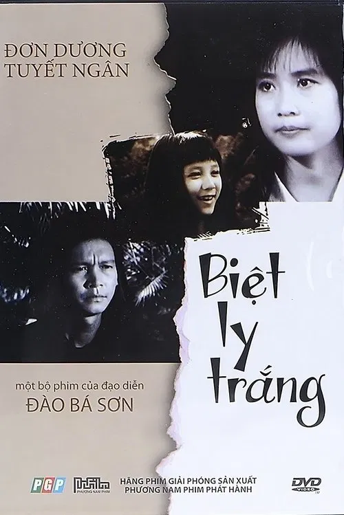 Pale Farewell poster