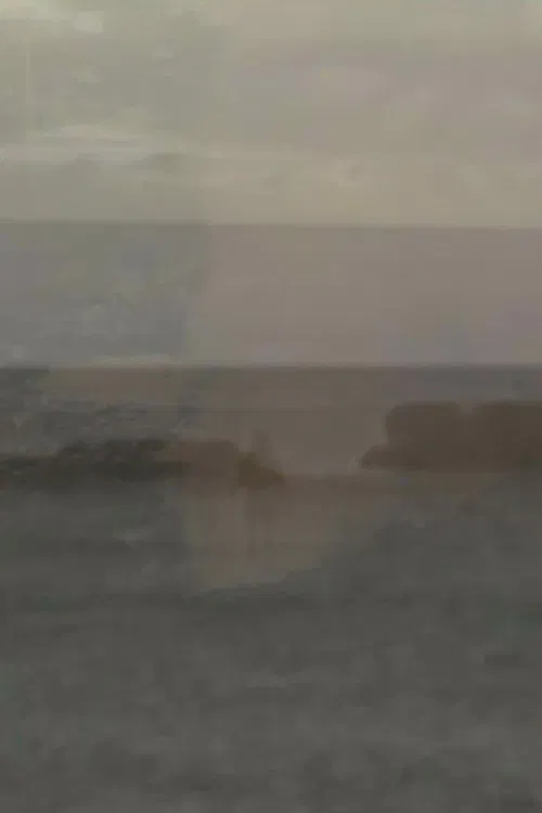 Contemplate the Plate Tectonic poster