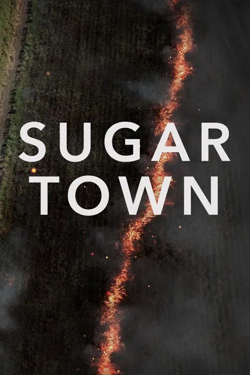Sugar Town poster