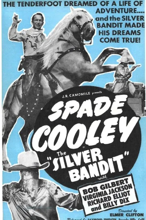 The Silver Bandit poster