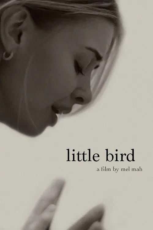 Little Bird poster