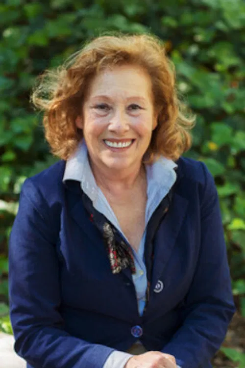 São José Lapa profile