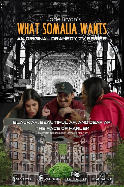 What Somalia Wants poster