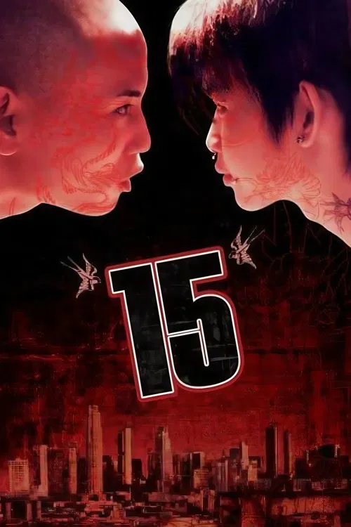 15 poster