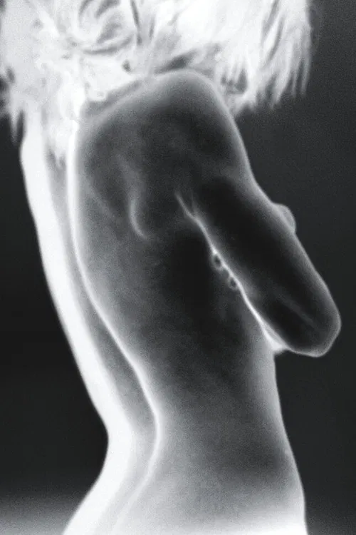 Thuỵ Huỳnh Thái profile