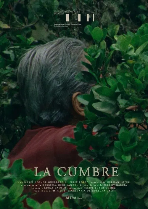 La Cumbre poster