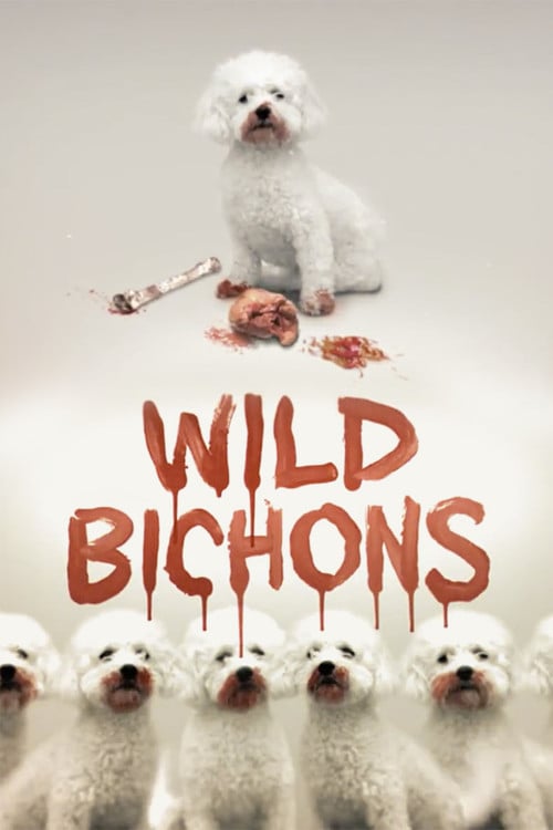 Wild Bichons poster
