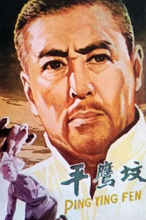 平鹰坟 poster