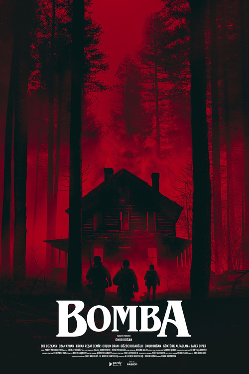Bomba poster
