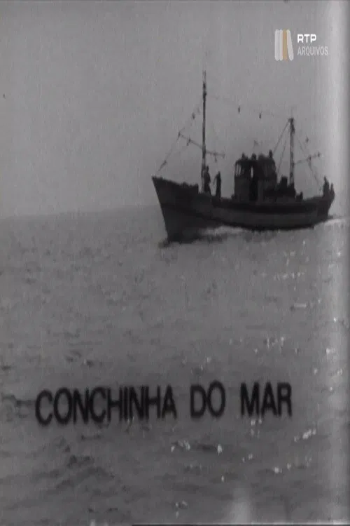 Conchinha do Mar poster