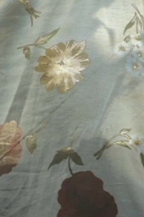 Material Incidents poster