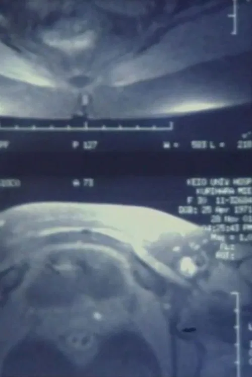 無音の領域 poster