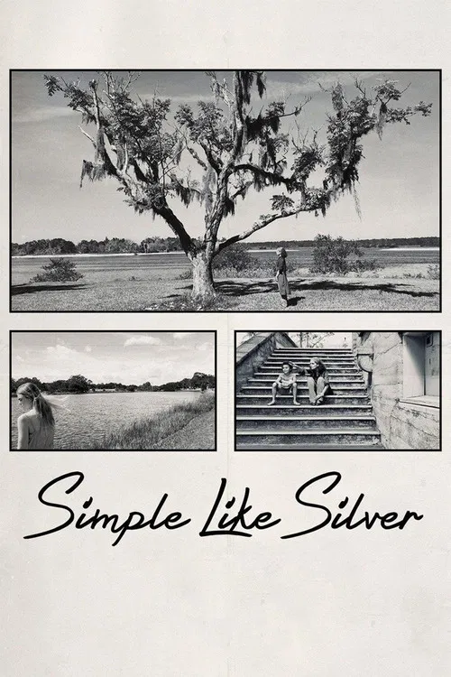 Simple Like Silver poster