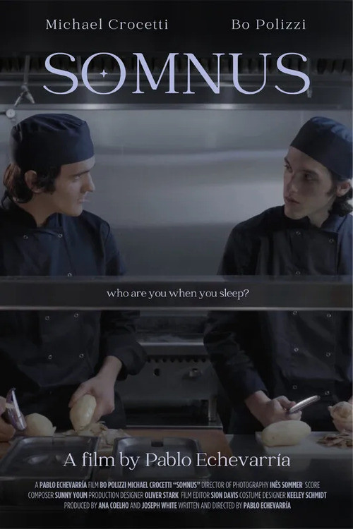 Somnus poster