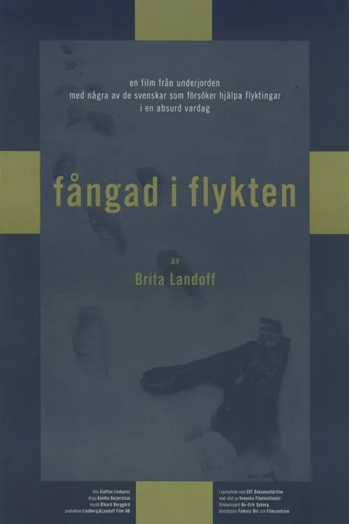 Fångad i flykten poster