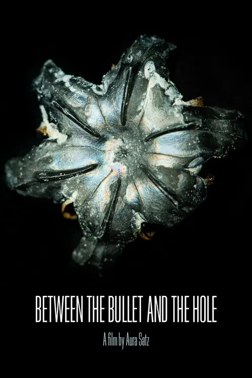 Between the Bullet and the Hole poster