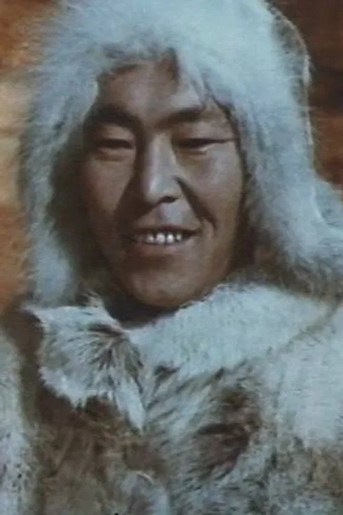 Vladimir Syngalayev profile