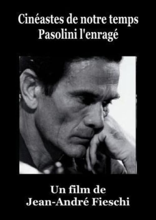 Pasolini l'Enragé poster