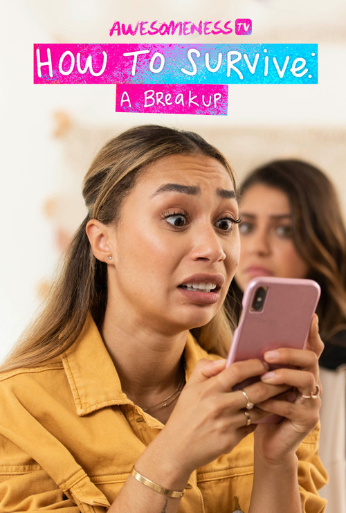 How to Survive a Break-Up poster