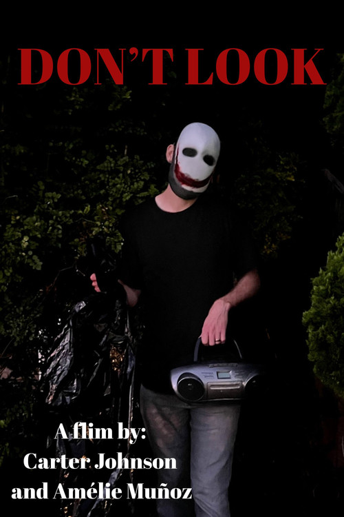 Don't Look poster