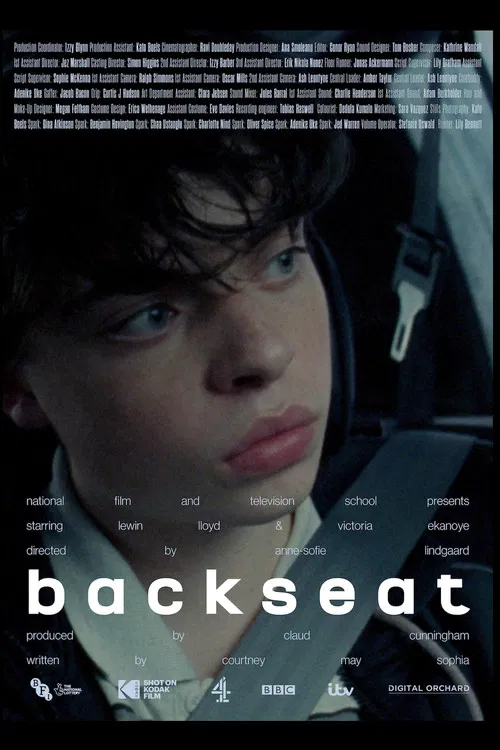 Backseat poster