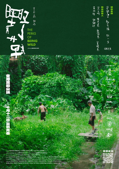 The Perks of Being Wild poster