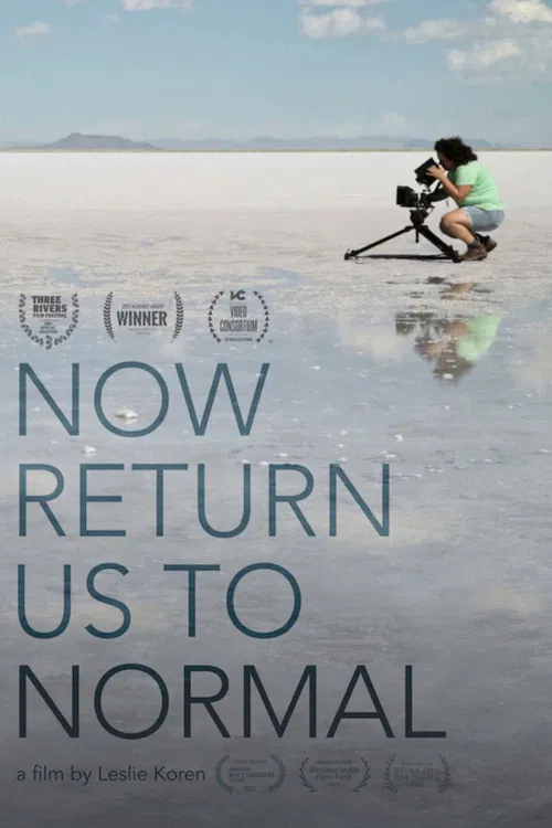 Now Return Us To Normal poster