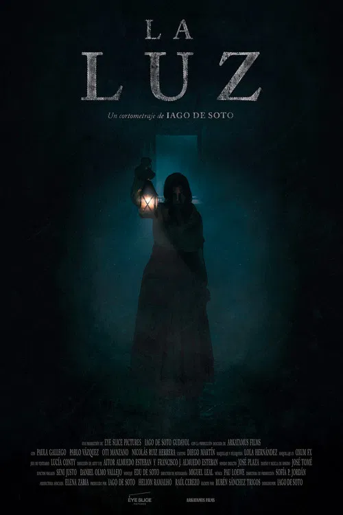 The Light poster