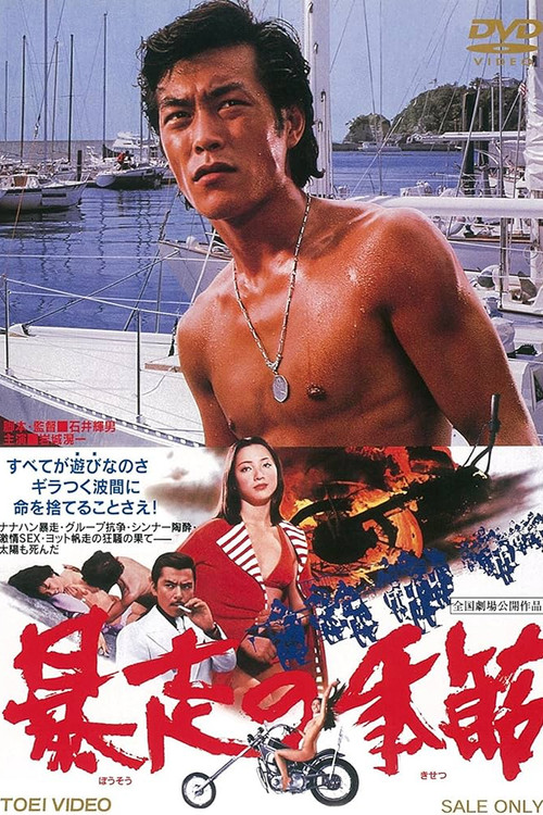 The Runaway Season poster