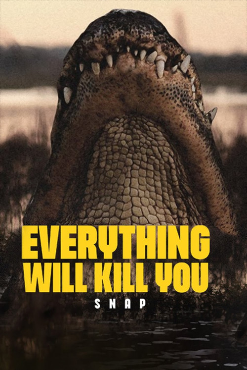 EVERYTHING WILL KILL YOU - SNAP poster