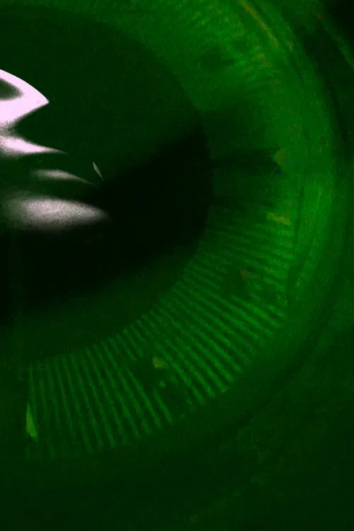 Amorist Saplings poster