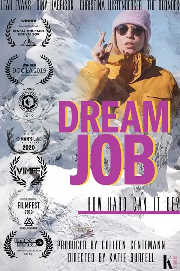Dream Job poster